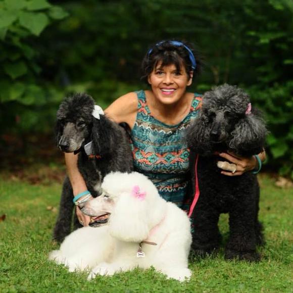 poodlechicks